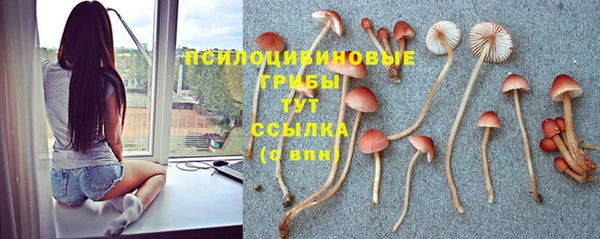 дистиллят марихуана Белокуриха