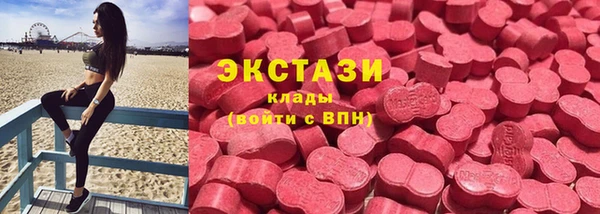 хмурый Арсеньев