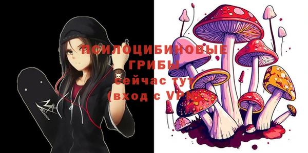 прущая мука Балахна