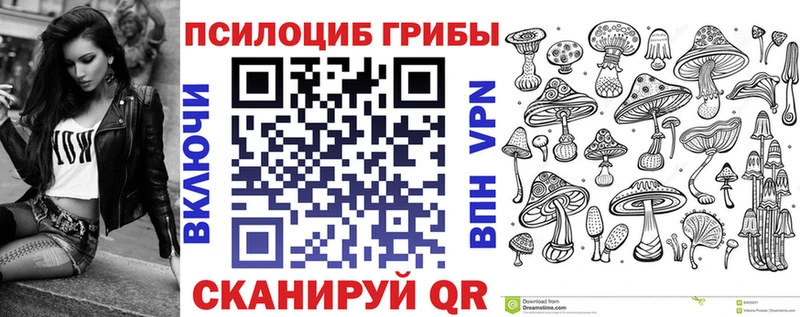KRAKEN   наркота  Иркутск  Псилоцибиновые грибы прущие грибы 